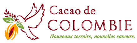 Cacao de Colombie